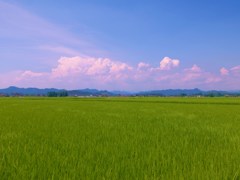 DSCF2173