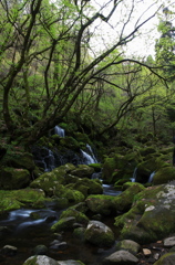 緑水