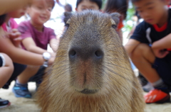 坊