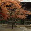 小雨の鎌倉　（２）