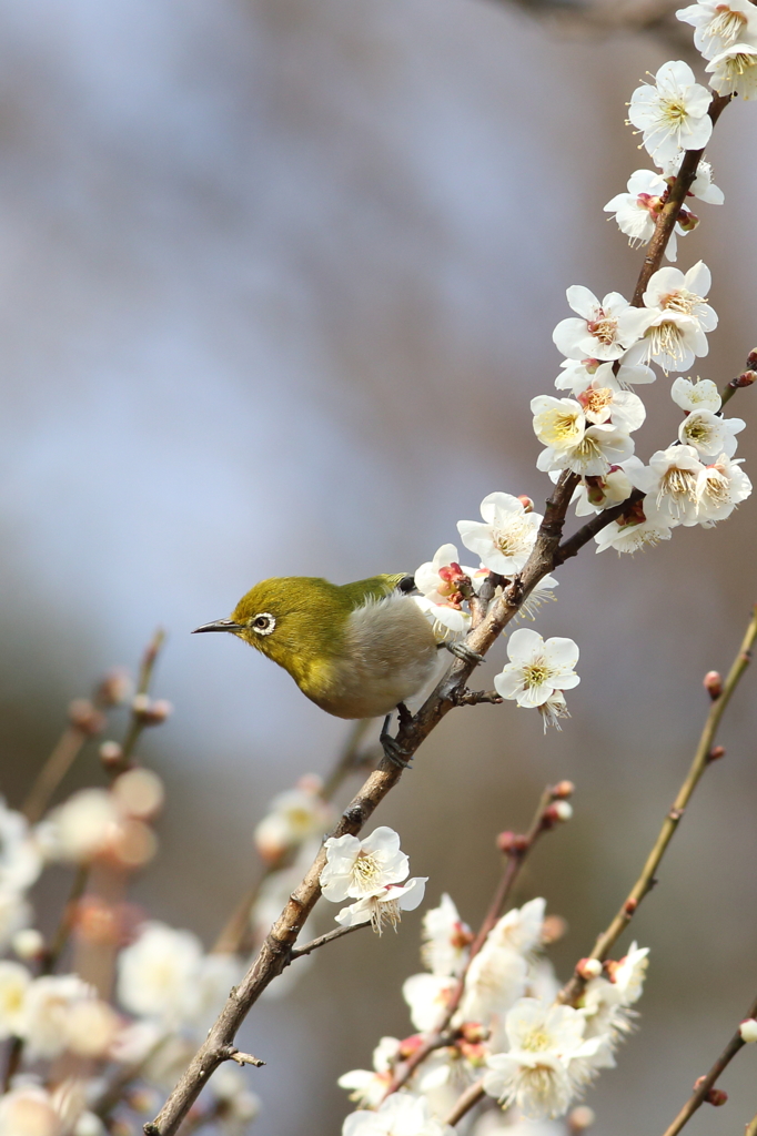 次は何処行こうかなー