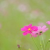 爽やかな風に吹かれて