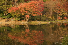 晩秋の湖　