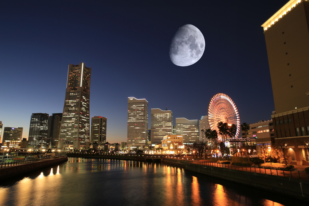 あり得ない光景