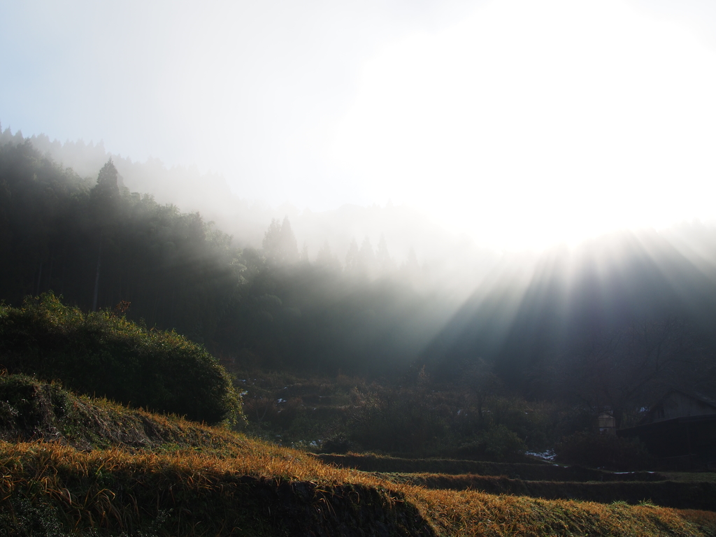 朝の風景Ⅲ