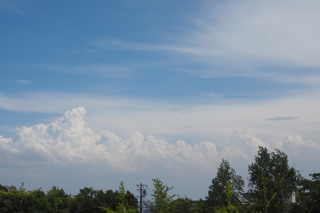 夏雲