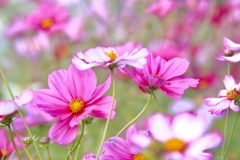 F51E1CD6-FA10-44AB-AB08-9560AB7E07DF