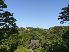 寺・森・空