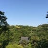寺・森・空