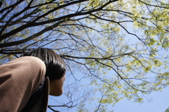 見上げると、煌びやかな世界がそこにはあった。