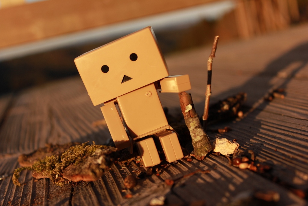 ここに決めた！