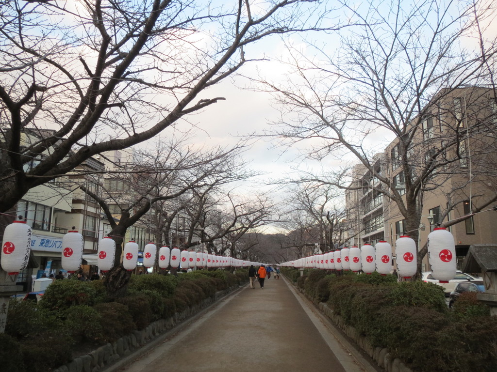 冬の鎌倉の道