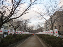 冬の鎌倉の道