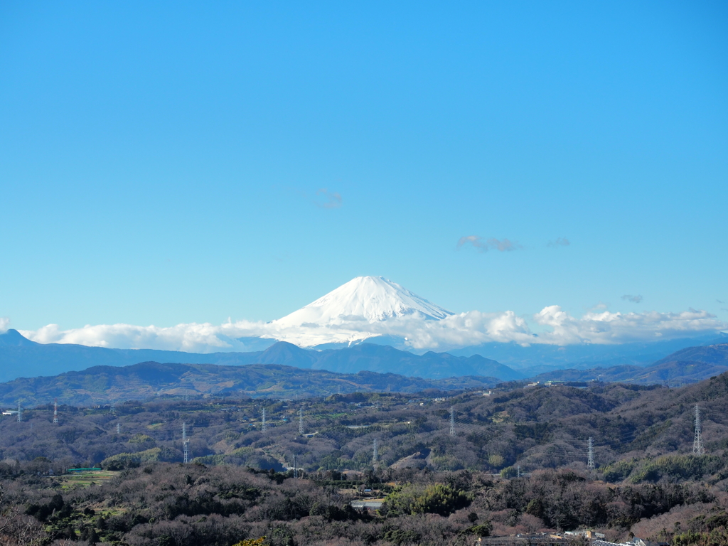 富士山
