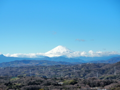 富士山