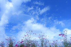 空に浮かぶ際中