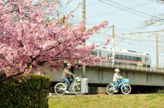 沿線の春