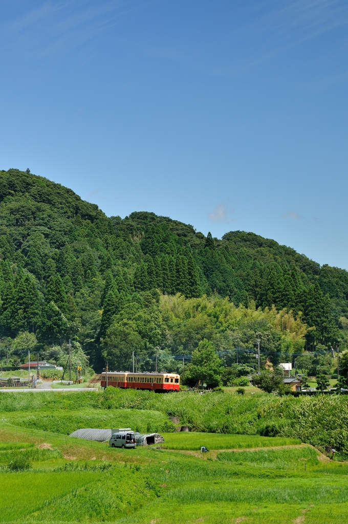 今日もトコトコ小湊鉄道③