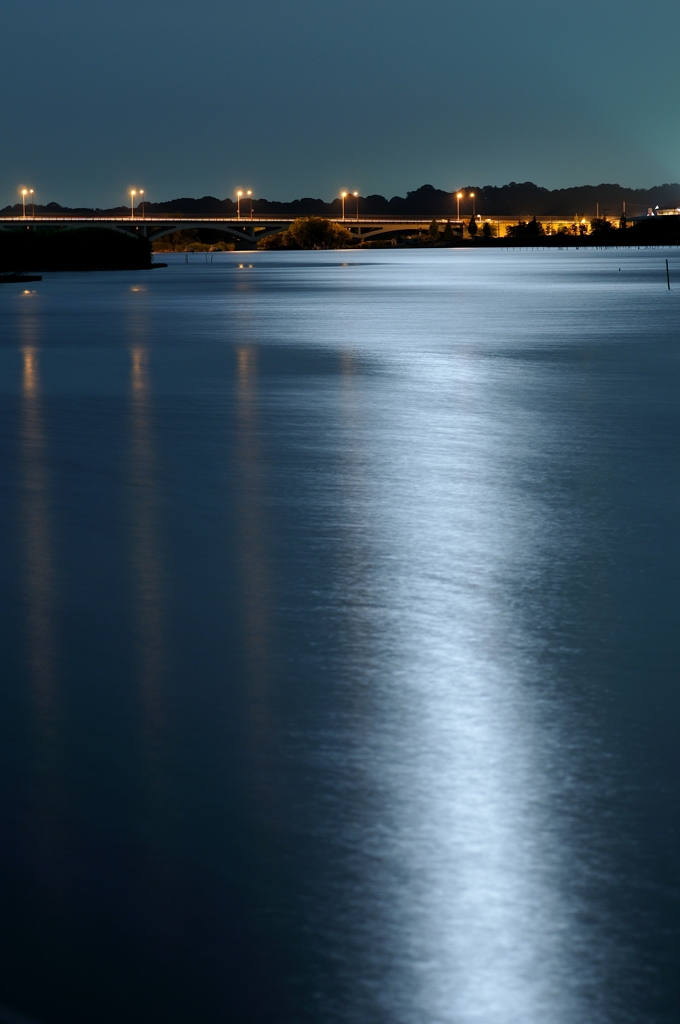 月夜の水面