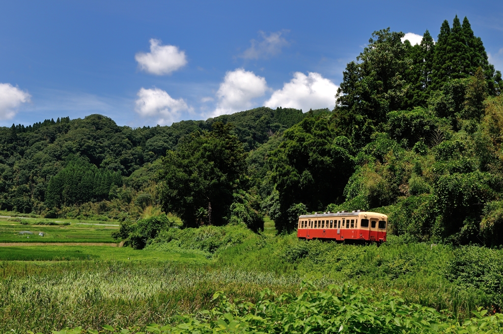 今日もトコトコ小湊鉄道②