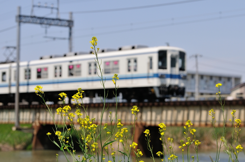 春の東武野田線
