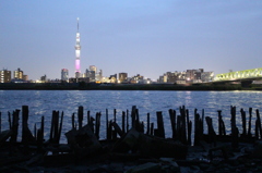 スカイツリーと荒川