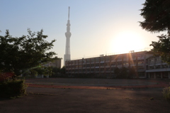 スカイツリーと学校
