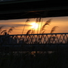 夕日とススキ