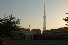 廃校とスカイツリー