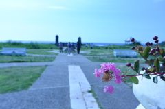 DSC_1410