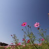 IMG_0061