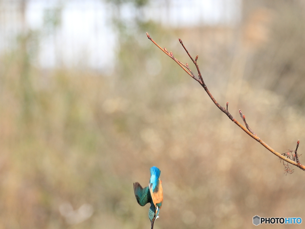 フレームアウト寸前