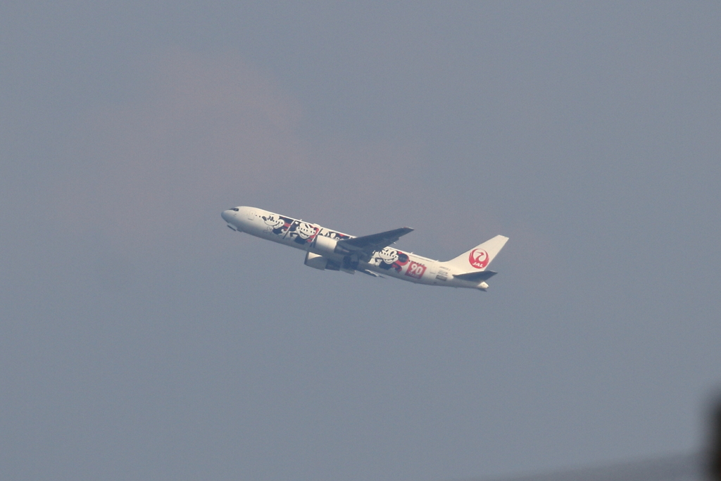 JAL DREAM EXPRESS 90