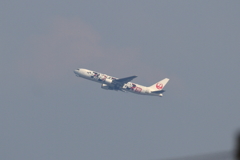 JAL DREAM EXPRESS 90