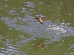 水絡み