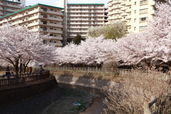 何とか間に合った