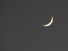 月と金星
