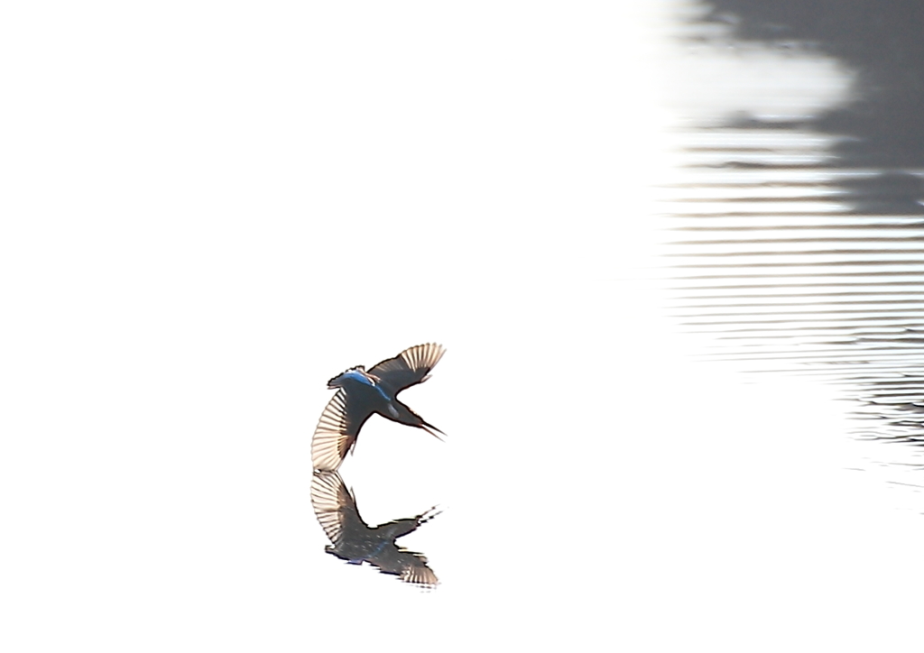 水鏡1