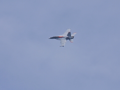 NF-102お背中拝見