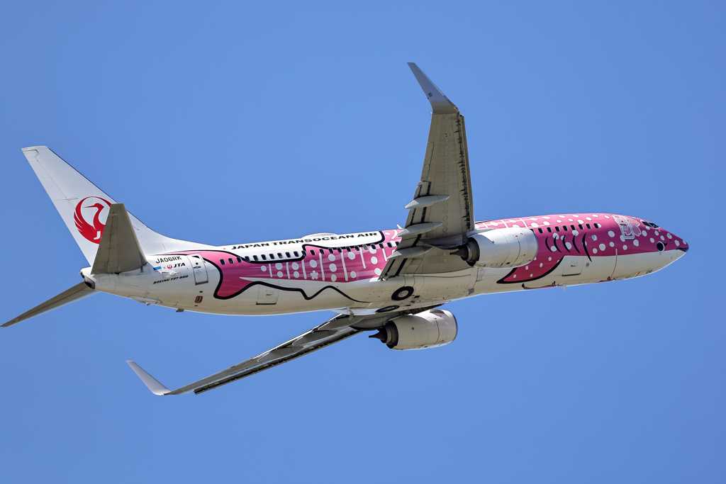 青空ジンベイさん