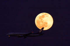 今日の空活