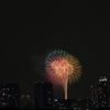 冬の花火