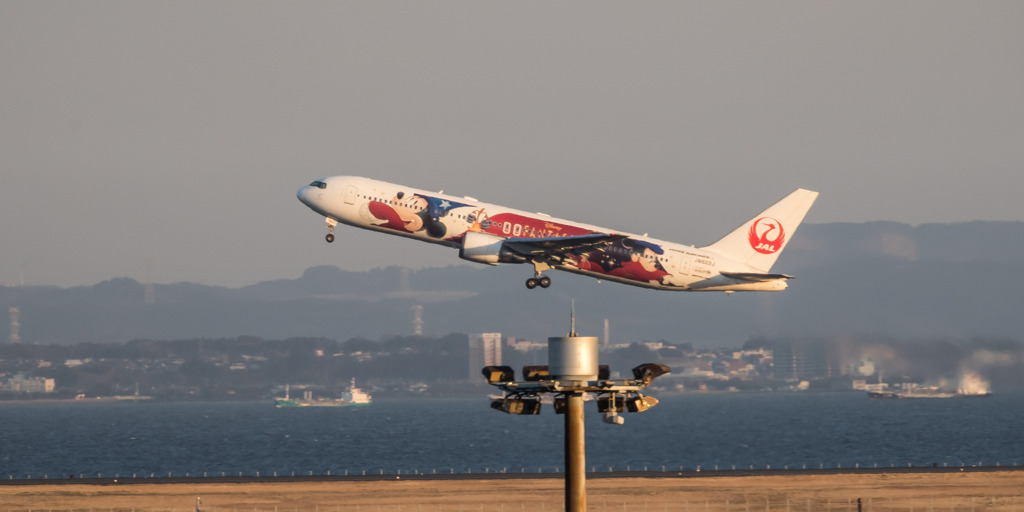 JAL dream express fantasia 80 