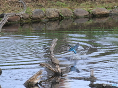 離水