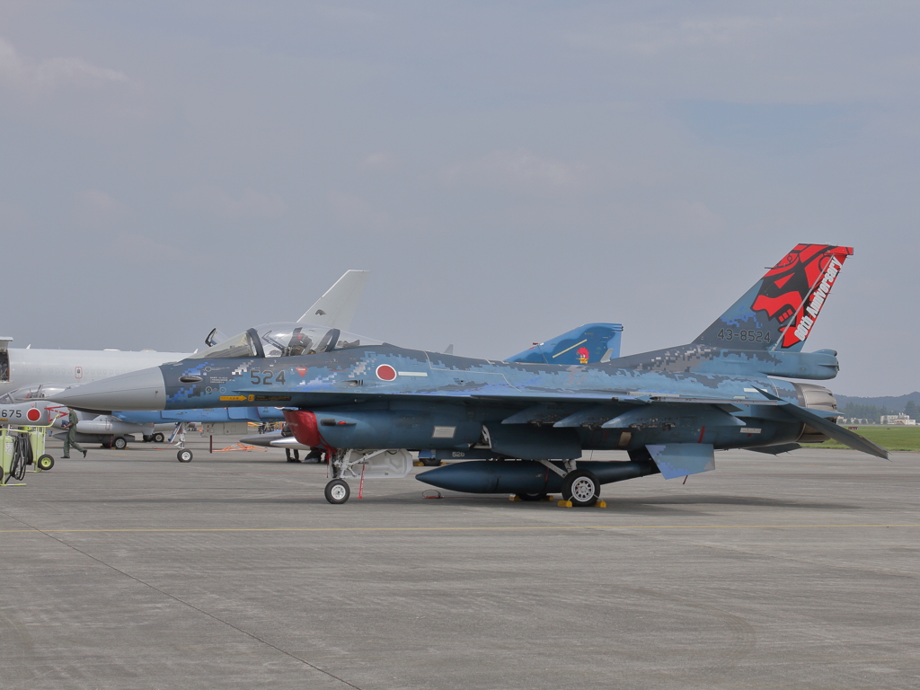 F-2A　記念塗装