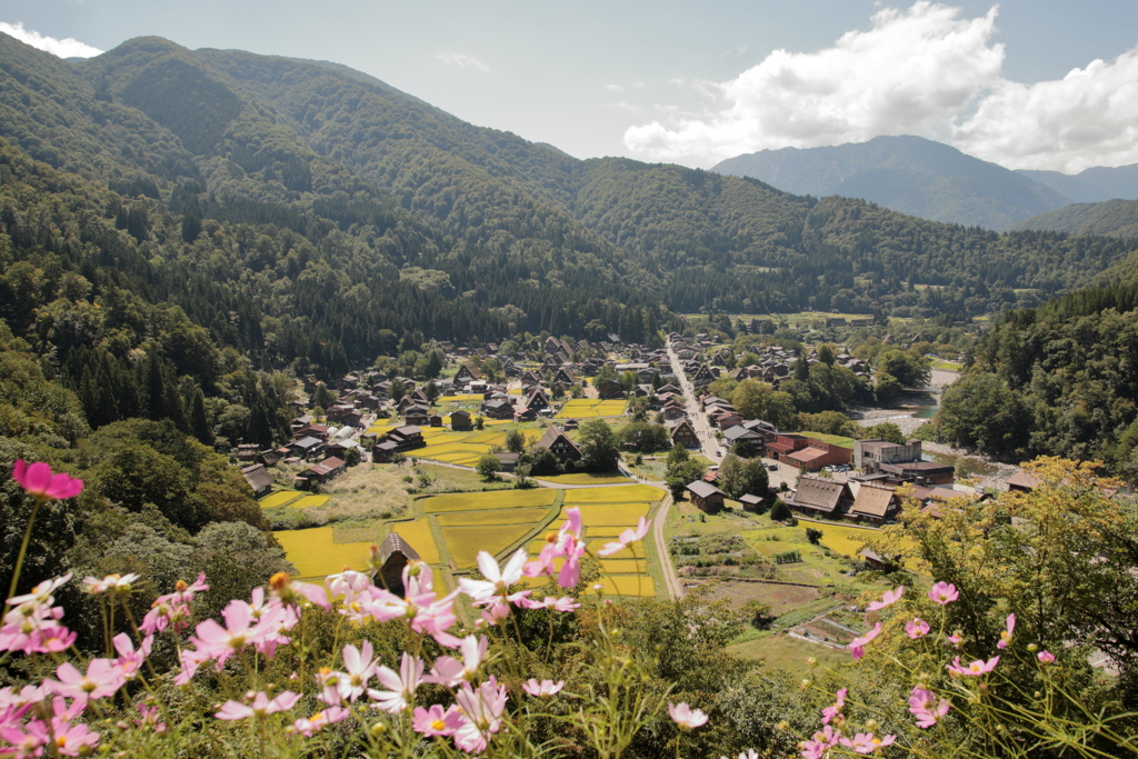 世界文化遺産　白川郷