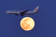 今日の空活