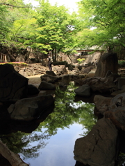 音無親水公園