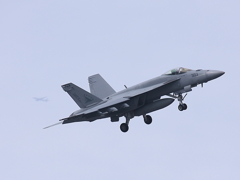 Eagles　NF-303