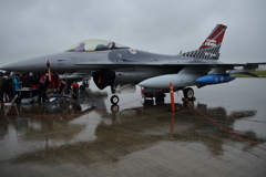 36th fighter SQ